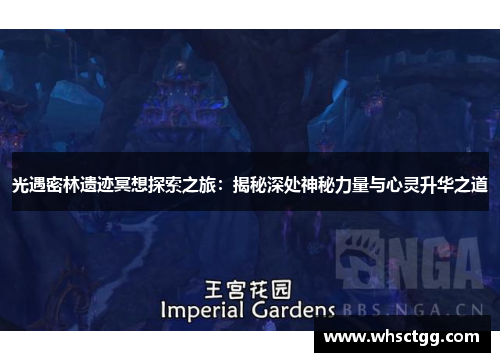 光遇密林遗迹冥想探索之旅：揭秘深处神秘力量与心灵升华之道