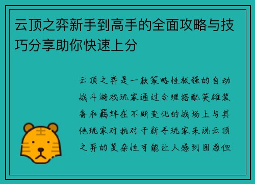 云顶之弈新手到高手的全面攻略与技巧分享助你快速上分